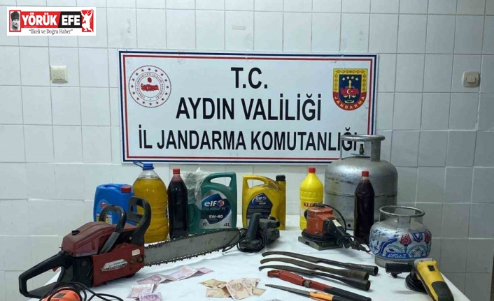 Hırsızı yakalamak için bin 200 saatlik kamera görüntüsü izlediler