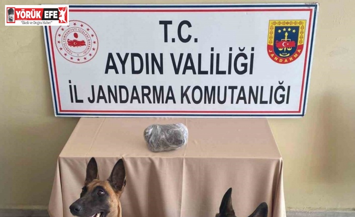 Jandarmanın hassas burunları uyuşturucuya geçit vermedi