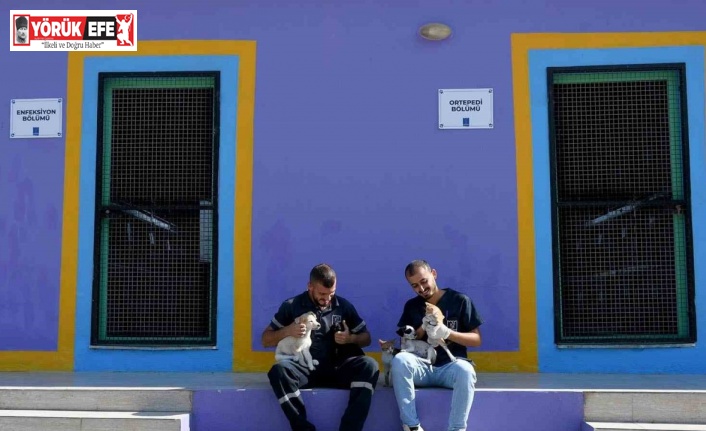 Kuşadası’nın sokak hayvanları sevgi ve müziğin gücüyle iyileşiyor