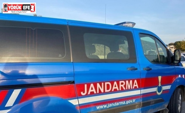 Palet hırsızlarını jandarma yakaladı