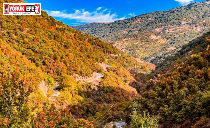 Aydın dağlarındaki son bahar manzaraları mest etti