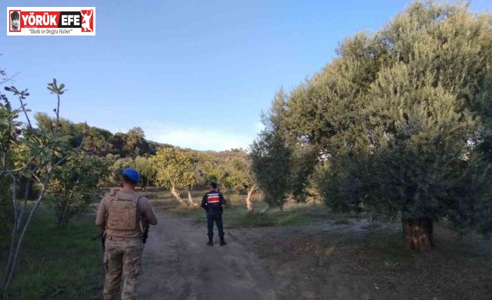 Jandarma tarımsal ürün hırsızlığına geçit vermiyor