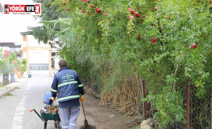 Nazilli’de Belediyesi’nden kış temizliği