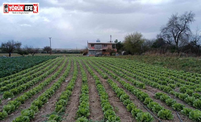 Yağış ve doludan etkilenen tarım arazilerinde kontroller başladı