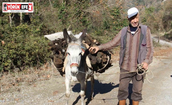 Araç kullanamadığı için eşekle yük çekiyor