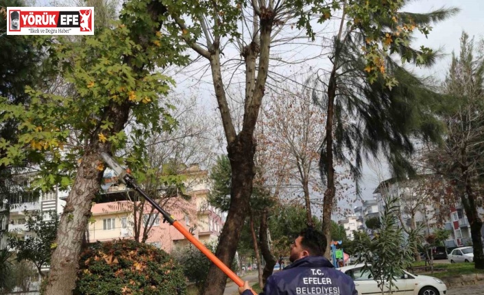 Efeler’in ekipleri park ve bahçelerde bakım çalışması yapıyor