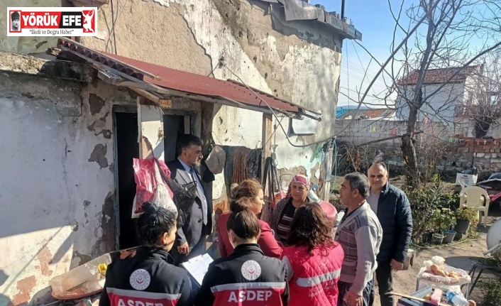 Aile ve Sosyal Hizmetler İl Müdürlüğü, Kocagür Mahallesi’nde saha çalışması gerçekleştirdi