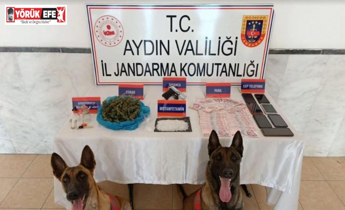 Aydın’da 48 zehir taciri yakalandı