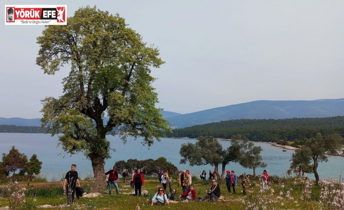 Doğaseverler, kıyı kirliliğine dikkat çekti