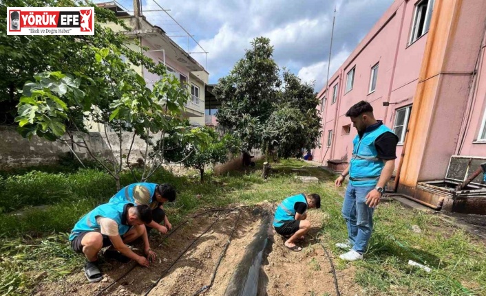 Öğrenciler yurt bahçesine sebze fidesi dikti