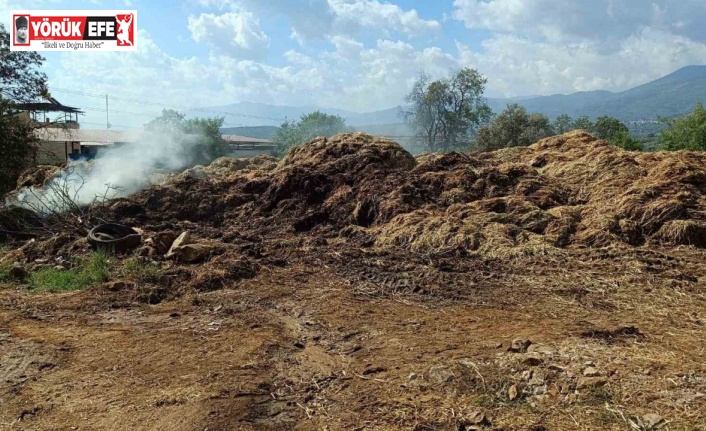 Bozdoğan’da 70 ton saman kül oldu