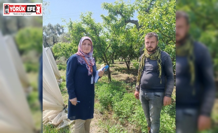 Efeler İlçe ve Tarım Orman Müdürlüğü anket çalışmalarını tamamladı