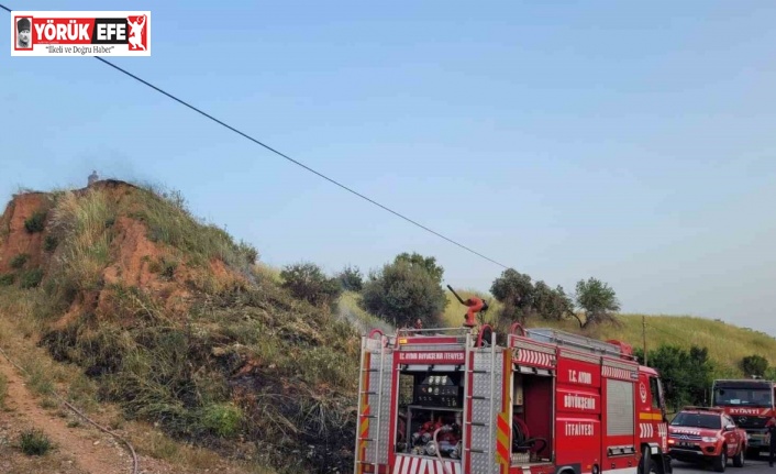 Efeler’de arazi yangını korkuttu