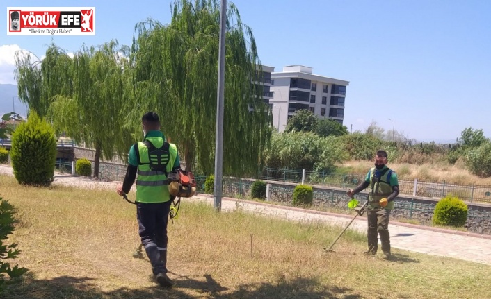 Nazilli Belediyesi, yeşil alanları bakıma aldı