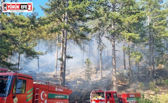 Bozdoğan Kaymakamlığı’ndan orman yangını uyarısı