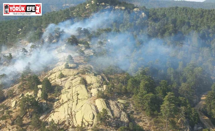 Bozdoğan’daki orman yangını kontrol altına alındı