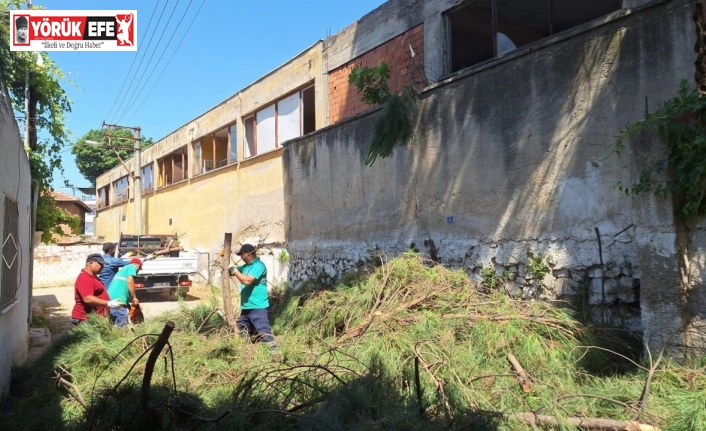 Efeler’de elektrik tellerine temas eden ağaçlar budandı