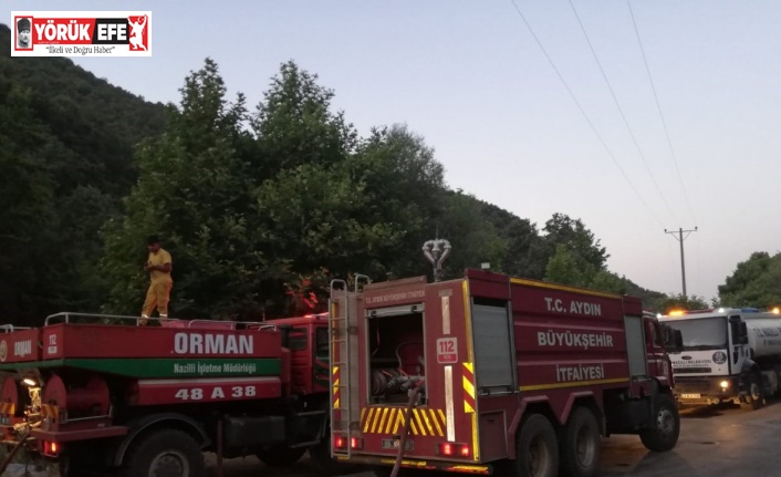 Nazilli Belediyesi Kahvederesi’ndeki yangına müdahale etti