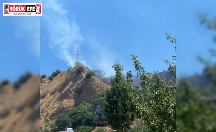 Nazilli’deki yangında 1 hektar alan zarar gördü