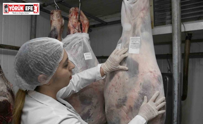 Uzmanlar uyardı: "Taze etler şoklandıktan sonra eksi 18 derecede 6 ay saklanabilir"