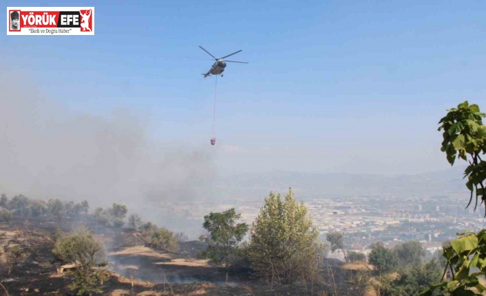 Aydın’da çıkan yangın üniversite kampüs alanına doğru ilerliyor