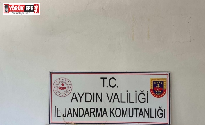 Aydın’da jandarma ekipleri uyuşturucuya geçit vermiyor