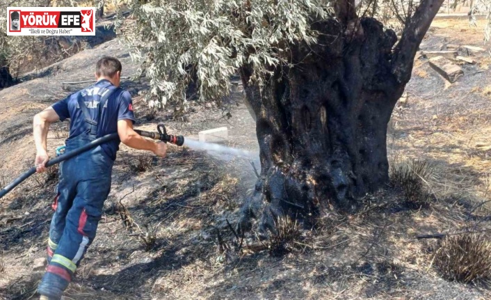 Aynı yer yeniden yandı ekipler harekete geçti