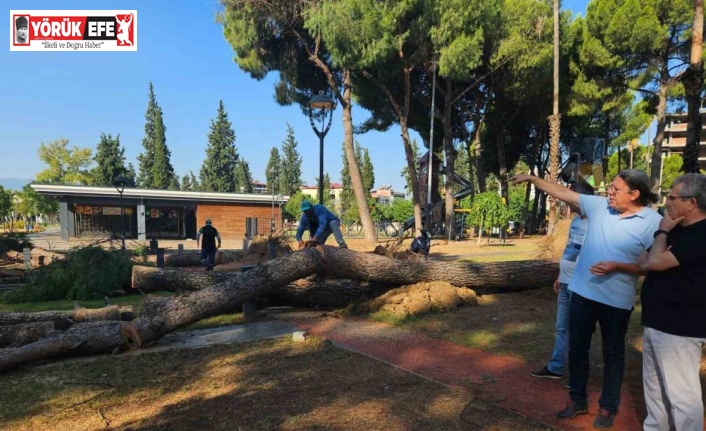 Başkan Tetik sahada vatandaşı yalnız bırakmadı