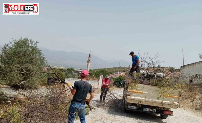 Efeler Belediyesi mezarlıklarda bakım ve temizlik çalışmalarını sürdürüyor