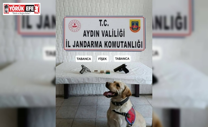 Jandarma ekipleri ruhsatsız tabanca ele geçirdi