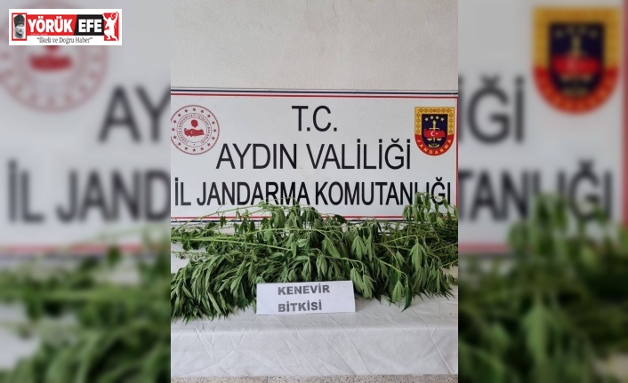 Jandarma uyuşturucuya geçit vermiyor: 5 gözaltı