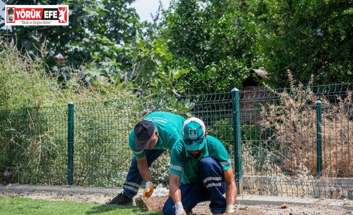 Kirazlı Mahallesi yeni yeşil alana kavuşuyor