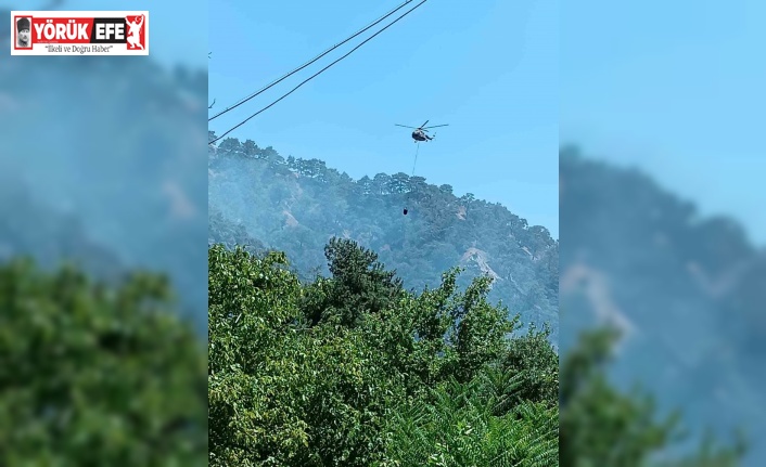 Kuyucak’taki orman yangınının sebebi belli oldu