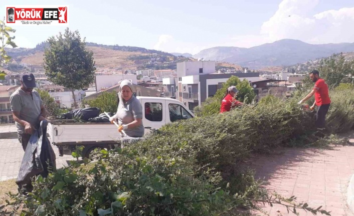 Söke Belediyesi’nden Park ve Bahçelerde yoğun çalışma