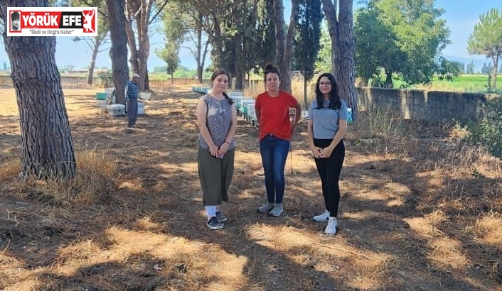 Söke’de arı kolonileri denetlendi