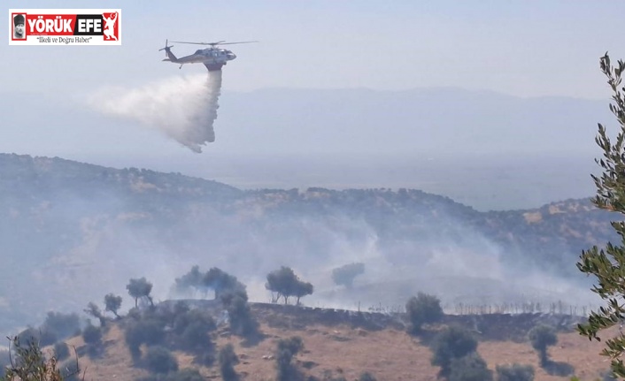 Söke’deki yangınlarda 41 milyon 250 bin TL zarar