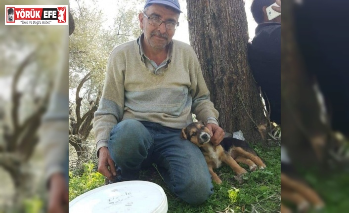 Sultanhisar Belediyesi personeli ölü bulundu