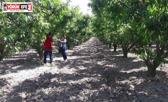 Üreticiler uyarıldı: “Siyah torbalarda imha edin”