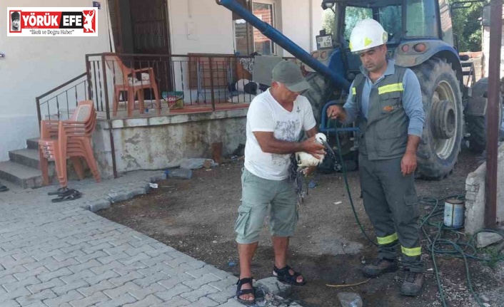 Vatandaşların dikkati leylek yavrusunu kurtardı