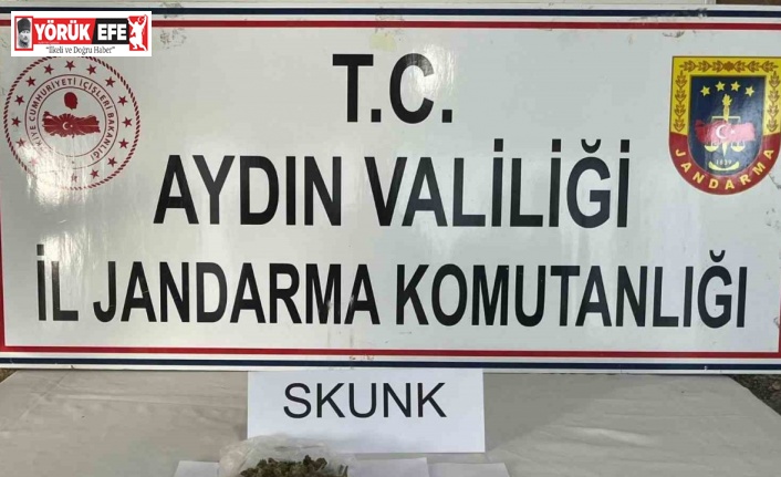 Aydın jandarmasından uyuşturucu operasyonu: 1 tutuklama