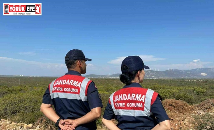 Aydın’da jandarma ekiplerinden Bafa Gölü’ndeki kuş ve balık türlerini korumak için yoğun denetim