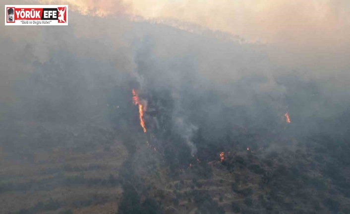 Bozdoğan yangını yerleşim yerlerini tehdit etmeye başladı