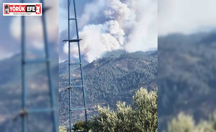 Bozdoğan’da orman yangını