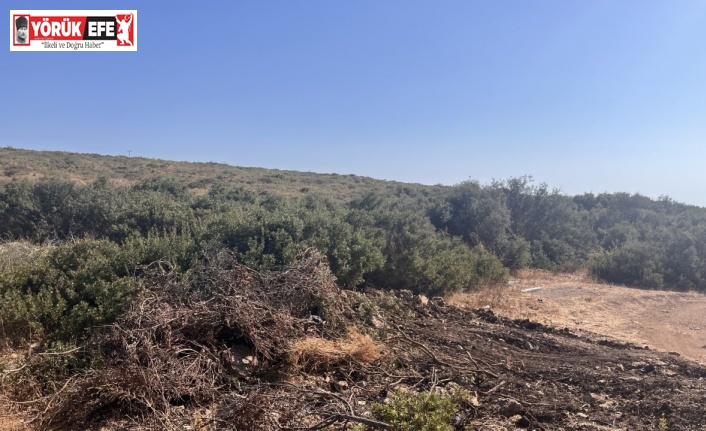 Didim’de hazine arazisinde izinsiz yer açan şahıs jandarmaya takıldı