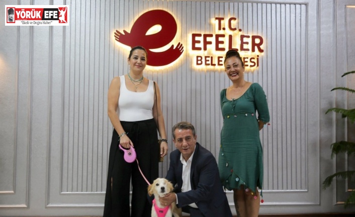 Efeler Belediye Başkanı Yetişkin: "Efeler’deki her can güvende"