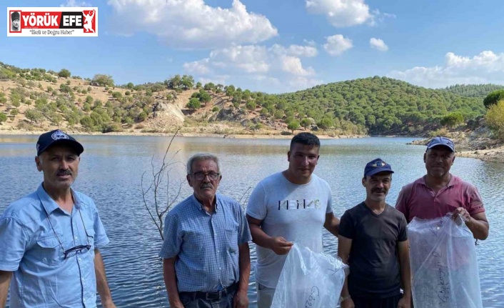 Gözkayası Göleti’ne sazan yavruları bırakıldı