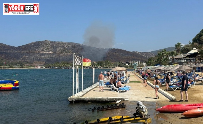 Kuşadası’ndaki orman yangını büyümeden söndürüldü