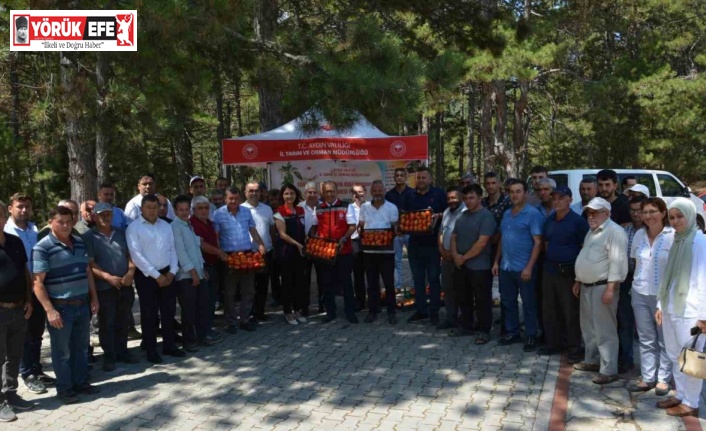 Kuyucak’ta geçci domates hasat şenliği yapıldı