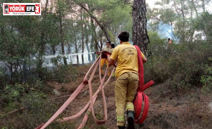 Muğla alevlere teslim oldu, Çine-Yatağan arası çift yönlü olarak trafiğe kapatıldı