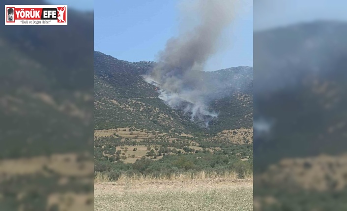 Nazilli’de makilik yangını